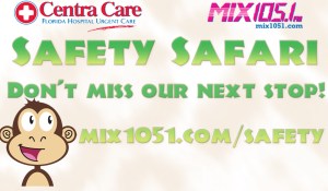 Safety Safari Cards